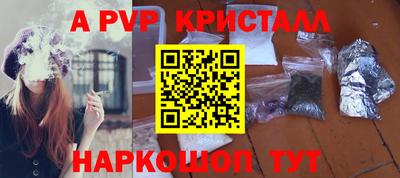 СК Ленинск-Кузнецкий