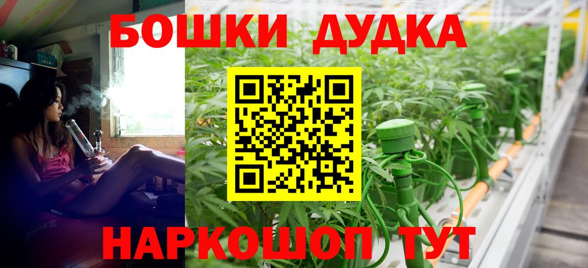 Бошки марихуана VHQ  Конопля Bruce Banner  Назарово  Марихуана план  Вход с VPN  Канабис ГИДРОПОН 